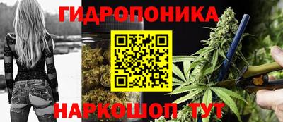 ГАЛЛЮЦИНОГЕННЫЕ ГРИБЫ Партизанск